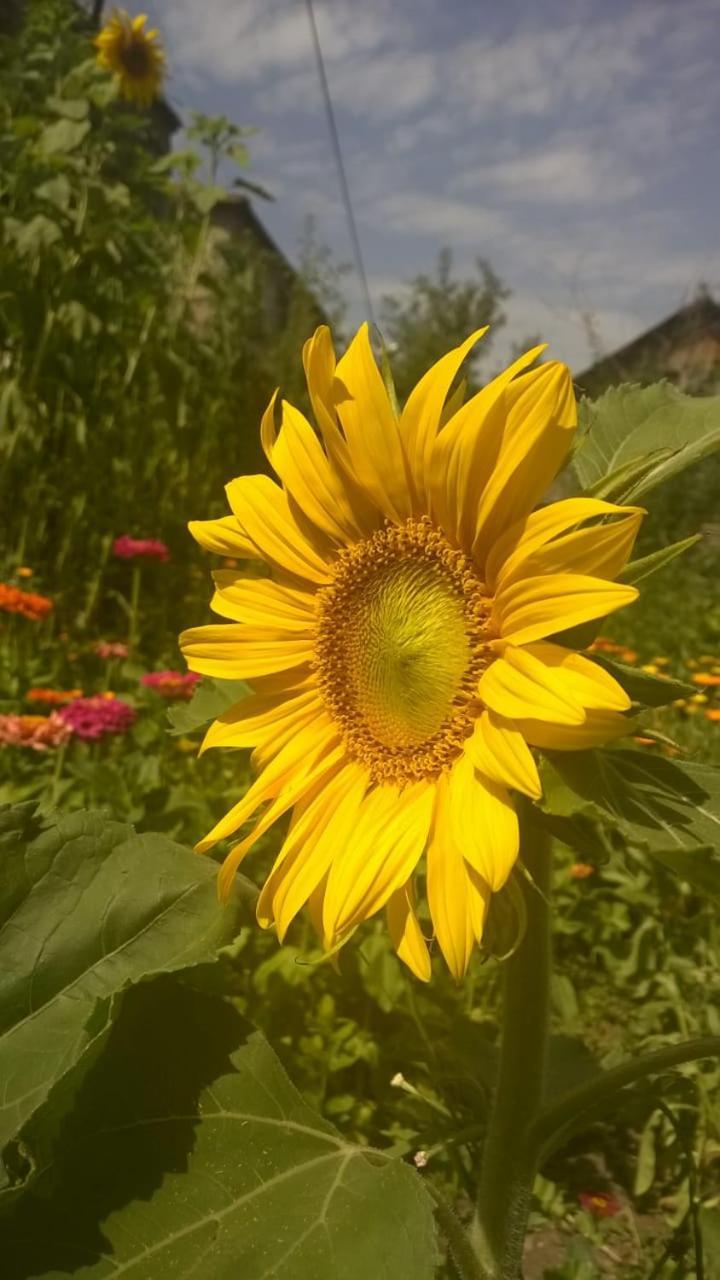 Ojakh Dilidschan Exterior foto
