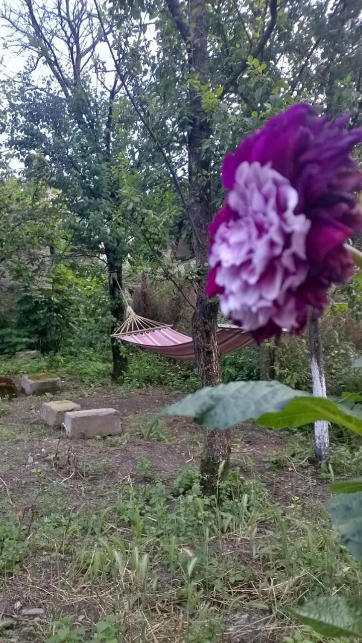 Ojakh Dilidschan Exterior foto